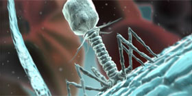 Bacteriofago